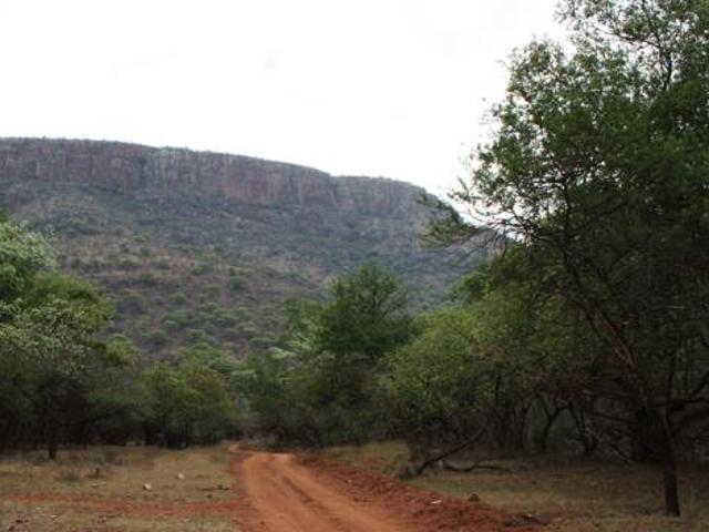 Land for sale in Ehlanzeni, Mpumalanga