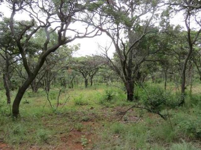 Land for sale in Limpopo