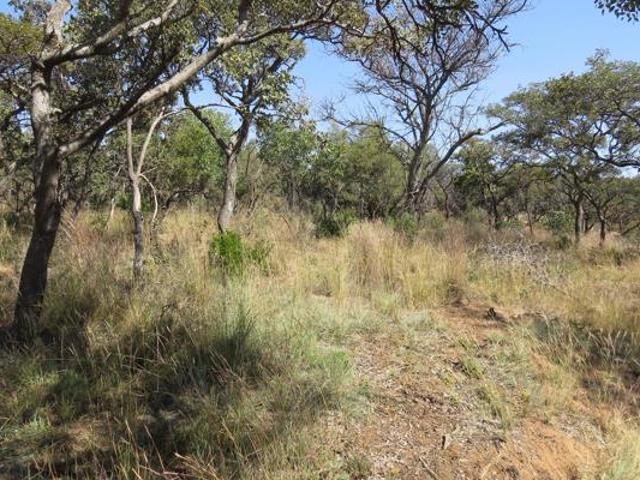 Land for sale in Limpopo