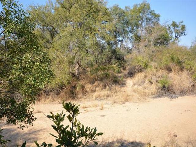 Land for sale in Mopani, Limpopo