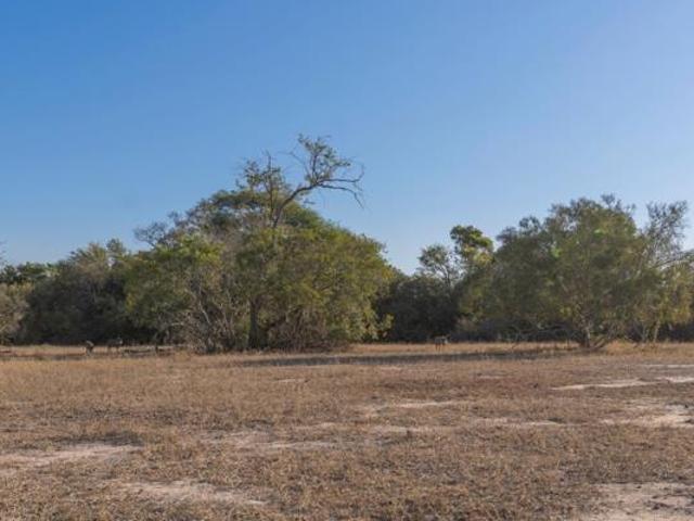 Land for sale in Mopani, Limpopo