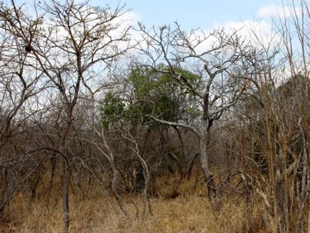 Land for sale in Mopani, Limpopo