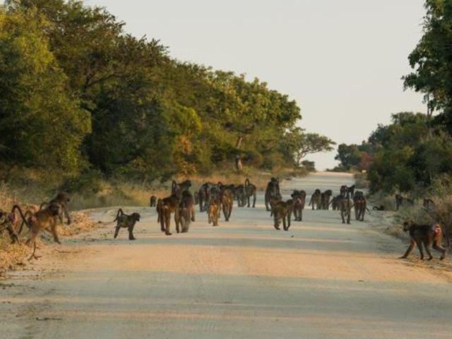 Land for sale in Mopani, Limpopo