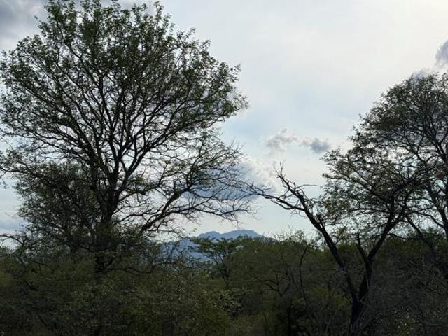 Land for sale in Mopani, Limpopo