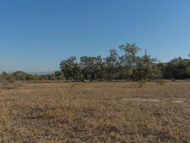 Land for sale in Mopani, Limpopo