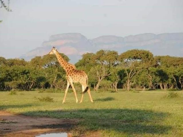 Land for sale in Mopani, Limpopo