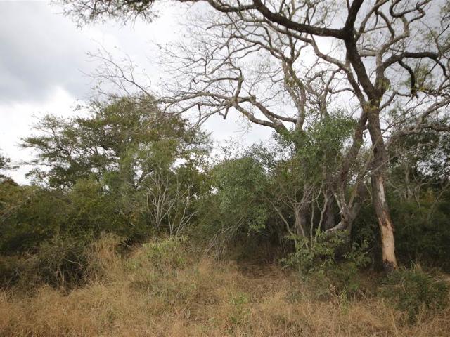 Land for sale in Mopani, Limpopo