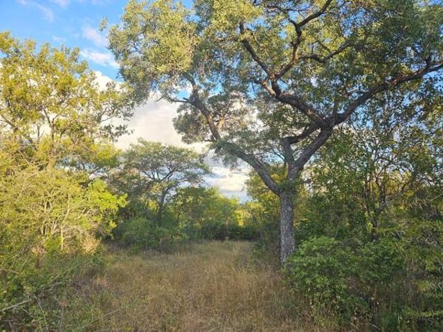 Land for sale in Mopani, Limpopo