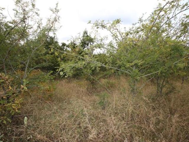 Land for sale in Mopani, Limpopo