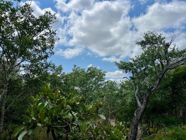 Land for sale in Mopani, Limpopo