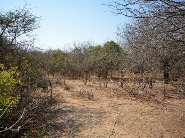 Land for sale in Mopani, Limpopo