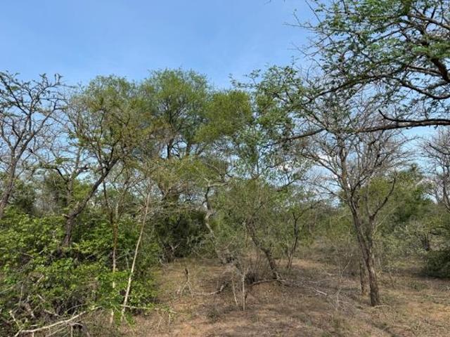 Land for sale in Mopani, Limpopo