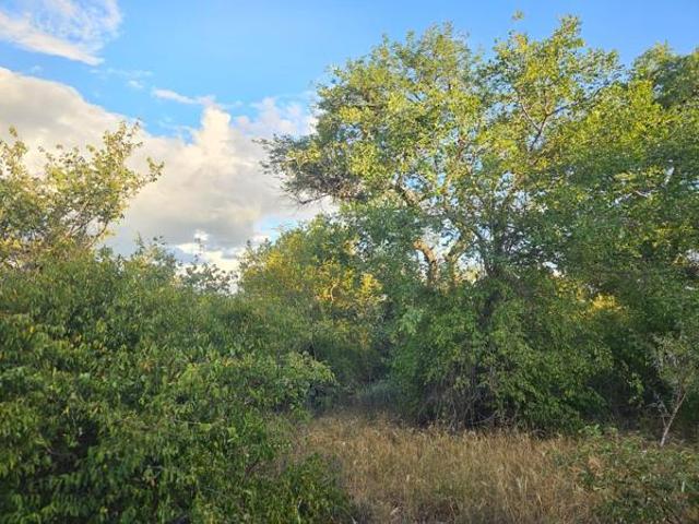 Land for sale in Mopani, Limpopo