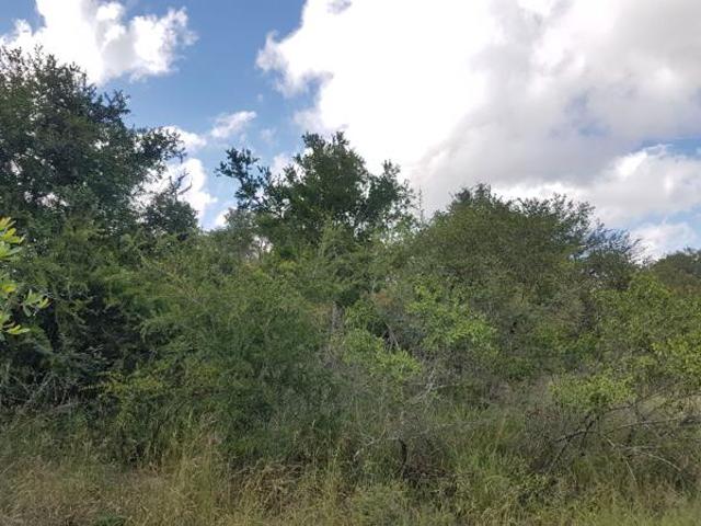 Land for sale in Mopani, Limpopo