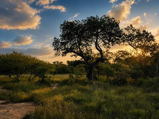Land for sale in Mopani, Limpopo