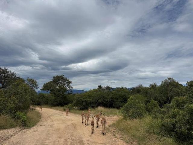 Land for sale in Mopani, Limpopo