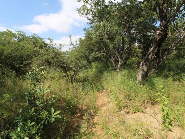 Land for sale in Mopani, Limpopo