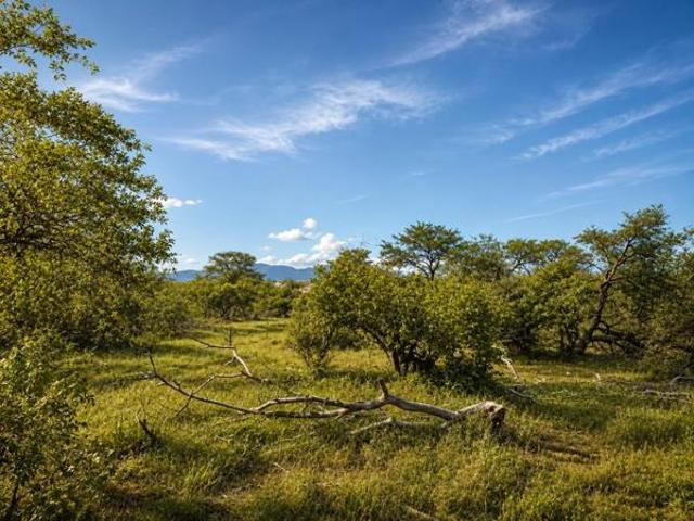 Land for sale in Mopani, Limpopo