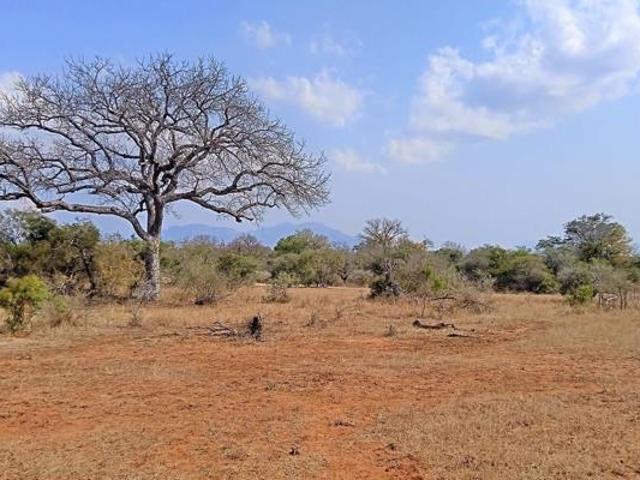 Land for sale in Mopani, Limpopo