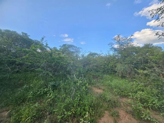Land for sale in Mopani, Limpopo