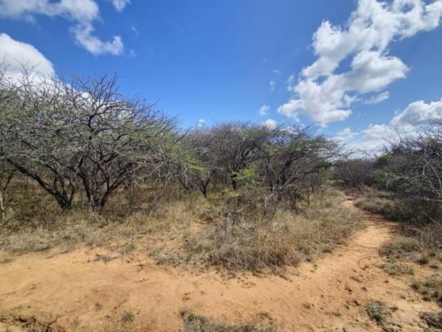 Land for sale in Hoedspruit, Maruleng Local Municipality