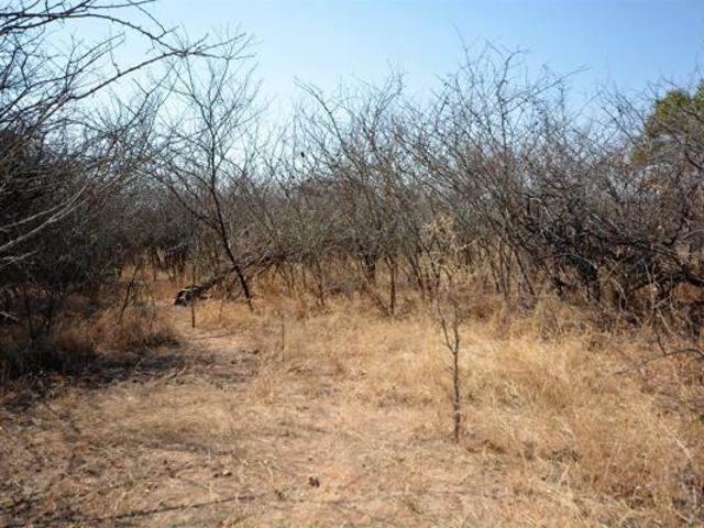 Land for sale in Mopani, Limpopo