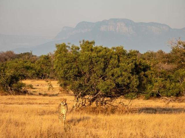 Land for sale in Mopani, Limpopo
