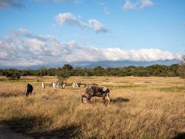 Land for sale in Mopani, Limpopo