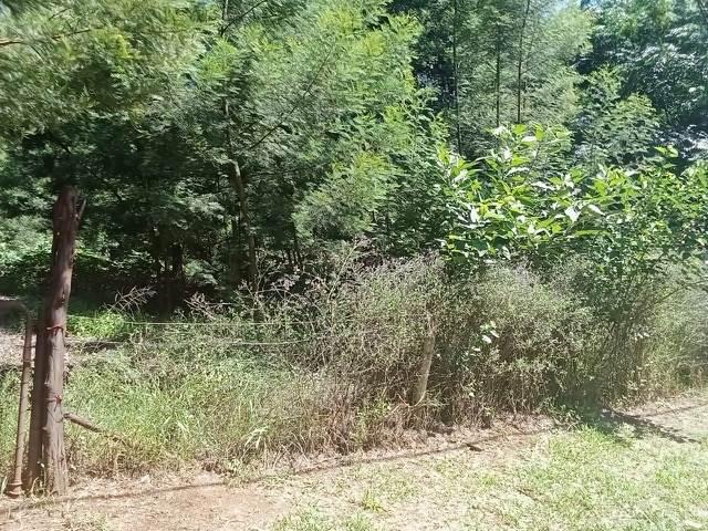 Land for sale in Waterkloof, Gauteng