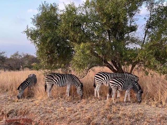 Land for sale in Ehlanzeni, Mpumalanga