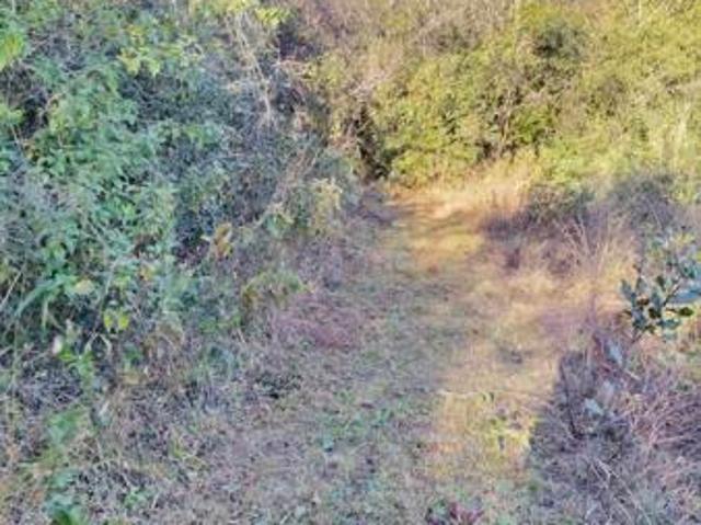 Land for sale in Ehlanzeni, Mpumalanga