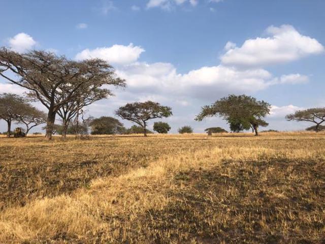 Land for sale in Ehlanzeni, Mpumalanga