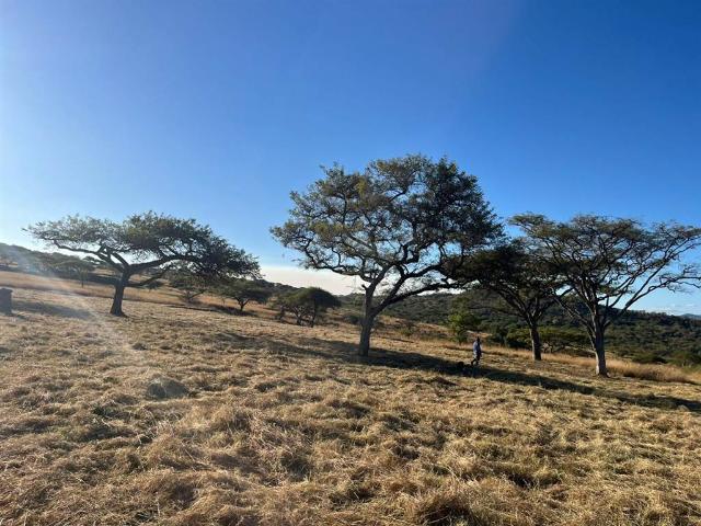 Land for sale in Mbombela (Nelspruit), Mbombela