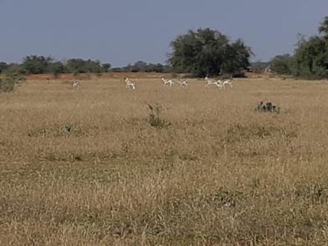 Land for sale in Dr Kenneth Kaunda, North West