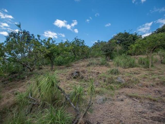 Land for sale in Ehlanzeni, Mpumalanga