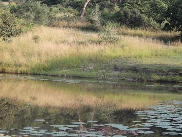 Land for sale in Ehlanzeni, Mpumalanga