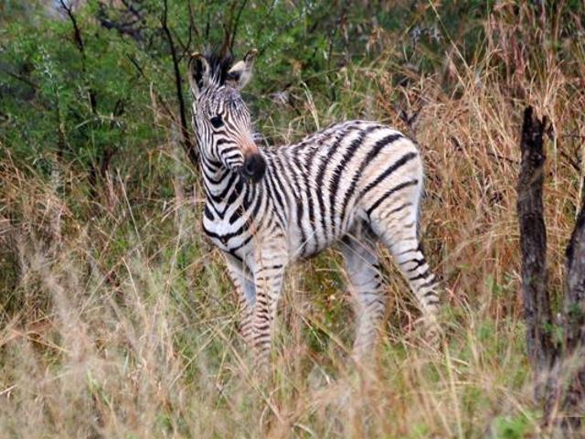 Land for sale in Tlhabane, North West