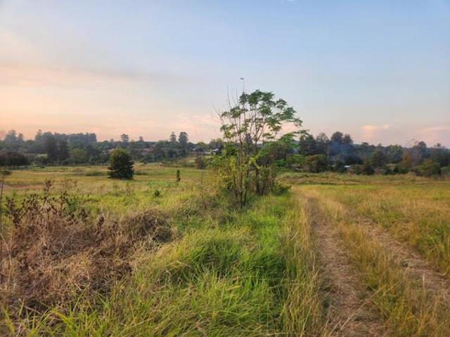 Land for sale in Ehlanzeni, Mpumalanga