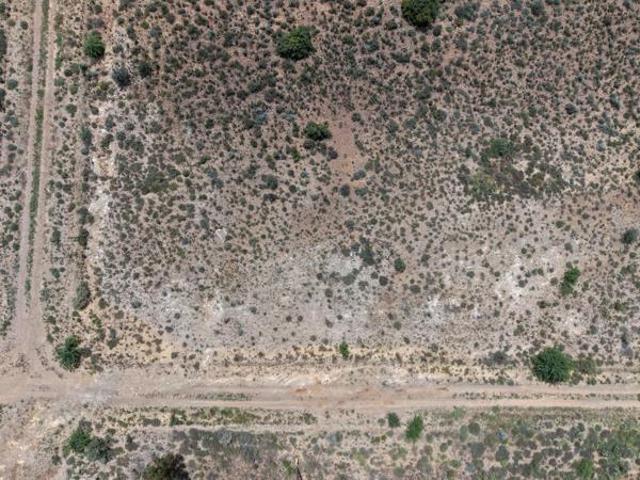 Land for sale in Willowmore, Baviaans Local Municipality
