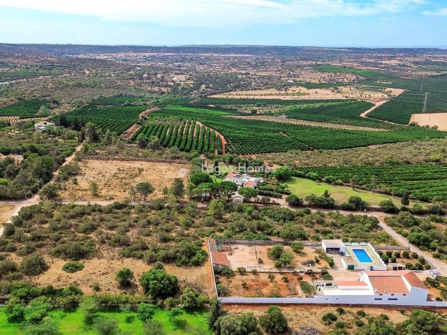 Terreno venda em Traviscal, São Bartolomeu de Messines