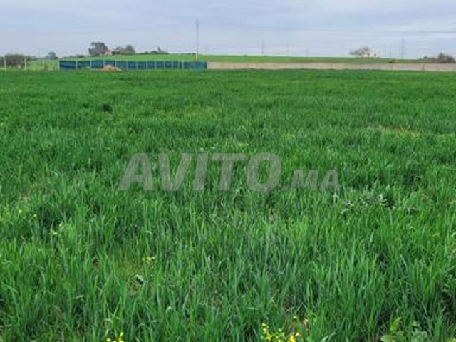Propriété vente à Gharb-Chrarda-Beni Hssen