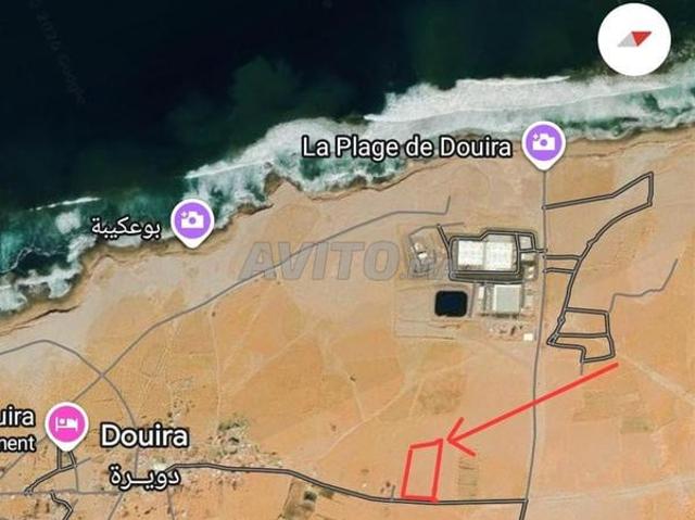 Propriété vente à Oued ed Dahab-Lagouira