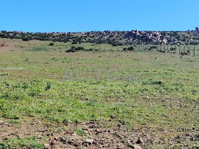 Propriété vente à Slimane, Gharb-Chrarda-Beni Hssen