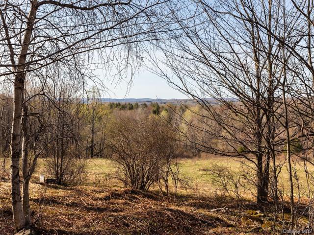 Land for sale in Claryville, New York