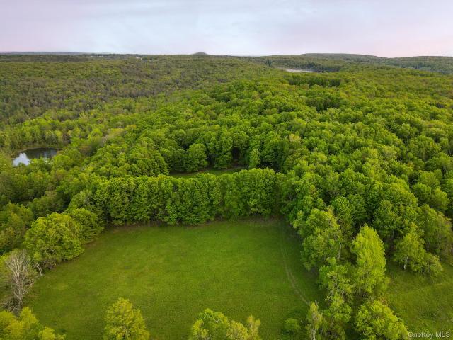 Land for sale in Claryville, New York