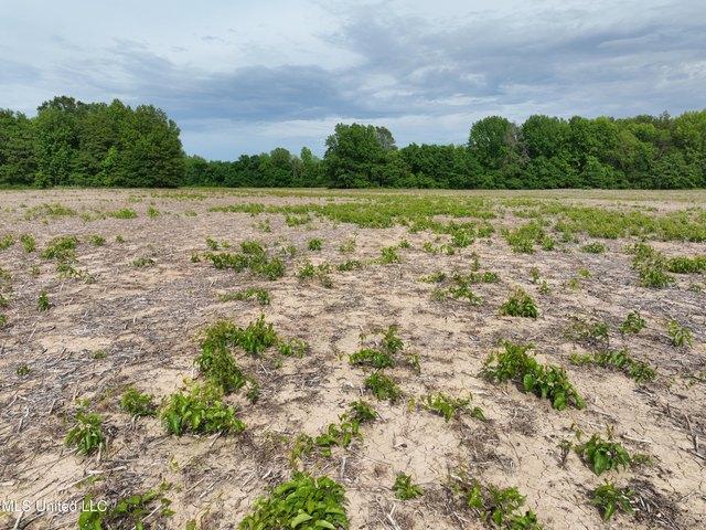 Farm for sale in Mississippi