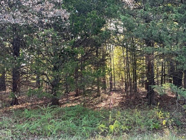 Land for sale in Ark