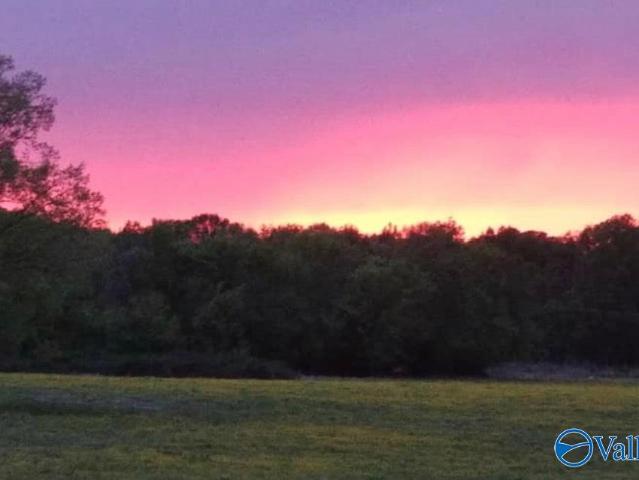 Land for sale in Trinity, Alabama