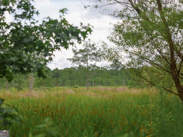 Land for sale in Edison, Georgia