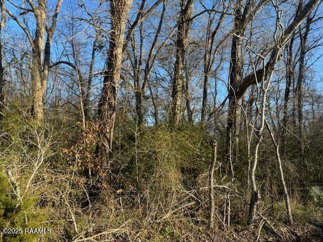 Land for sale in Washington, Louisiana